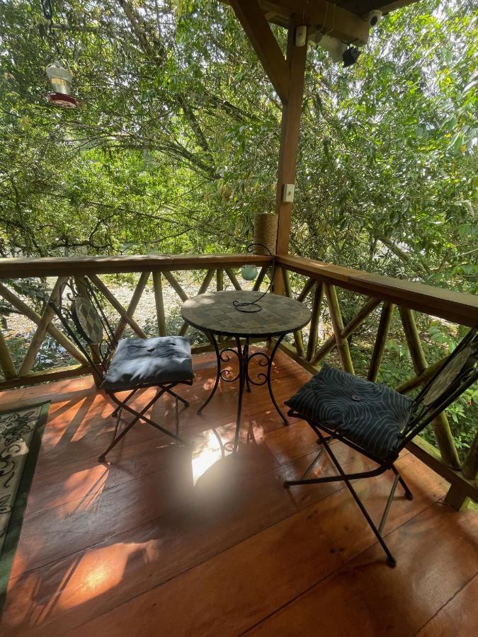 Caoni Riverside Lodge Puerto Quito Exterior foto